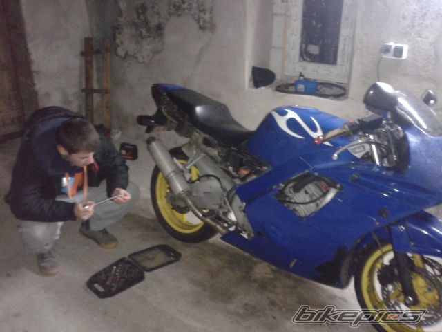 Photo 2624939