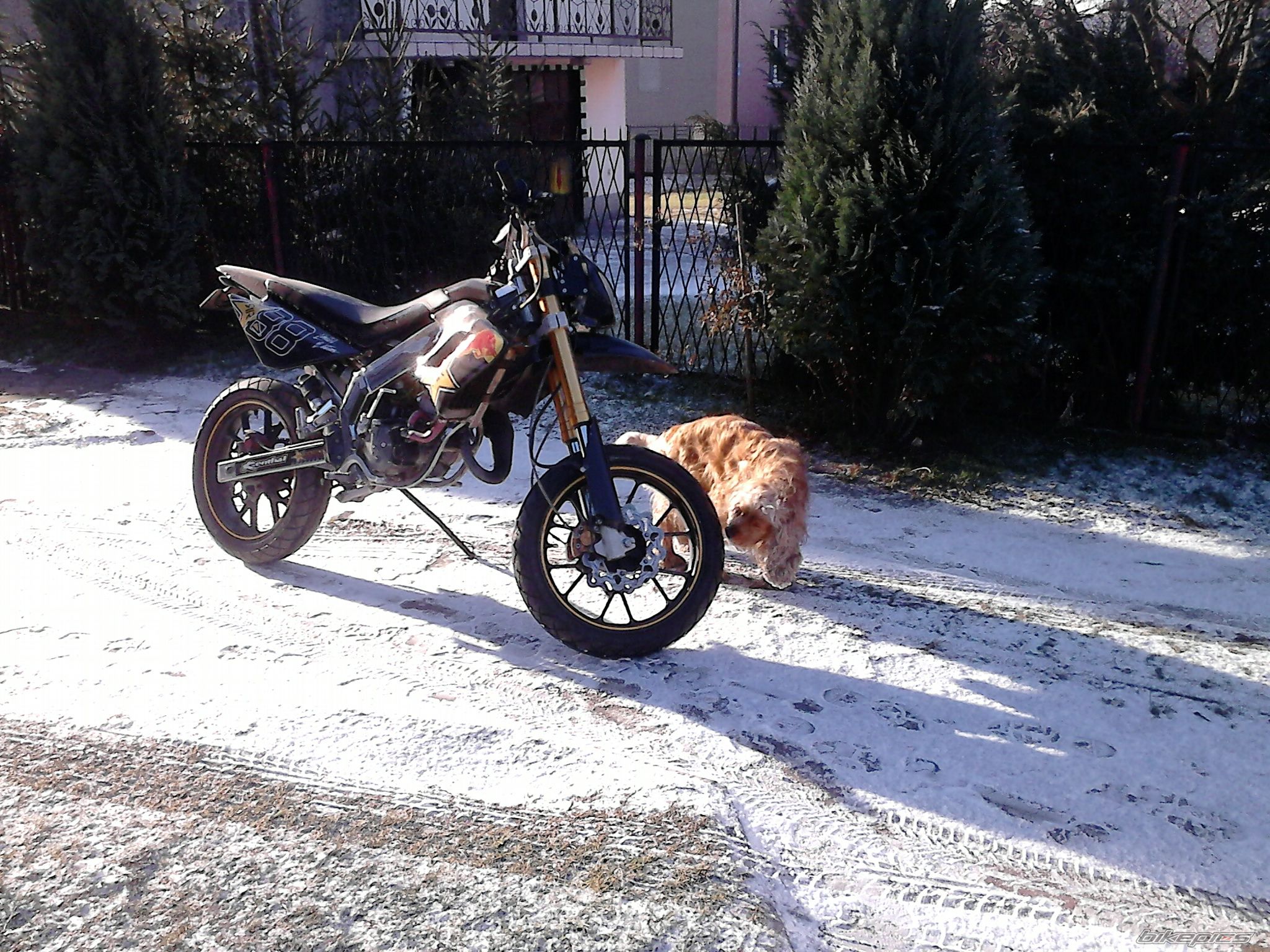 Photo 2625129