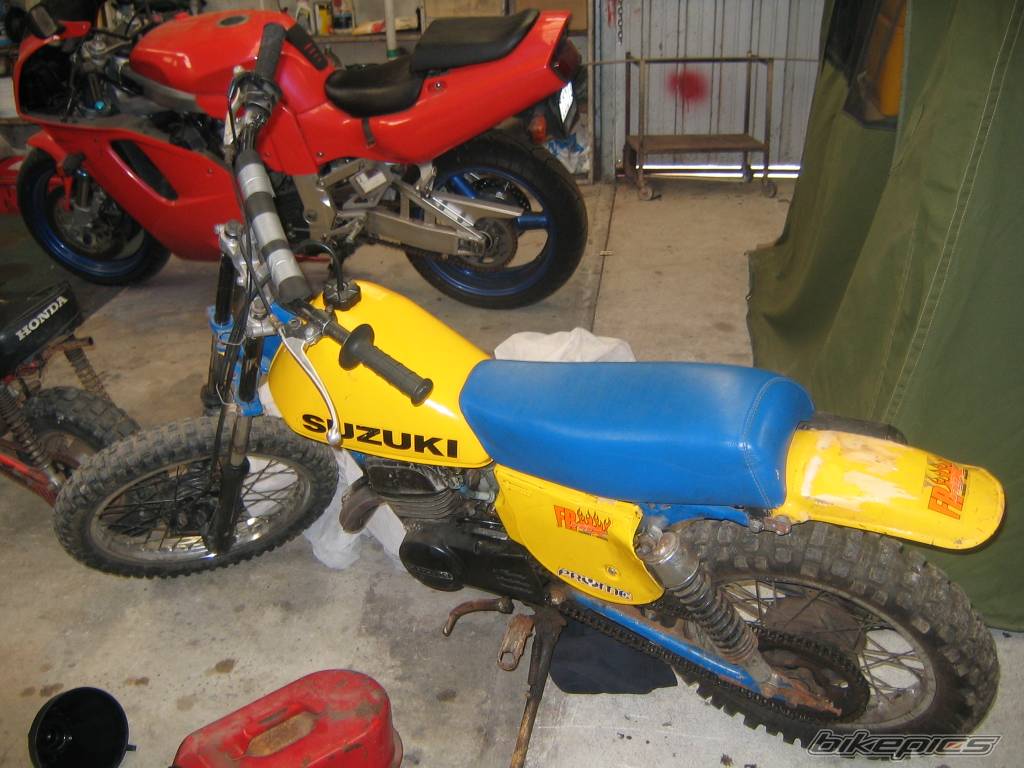 Photo 262525