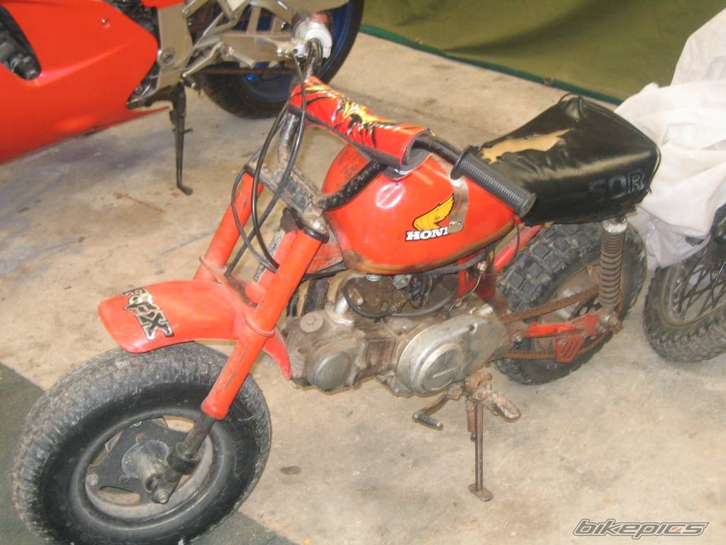 Photo 262526