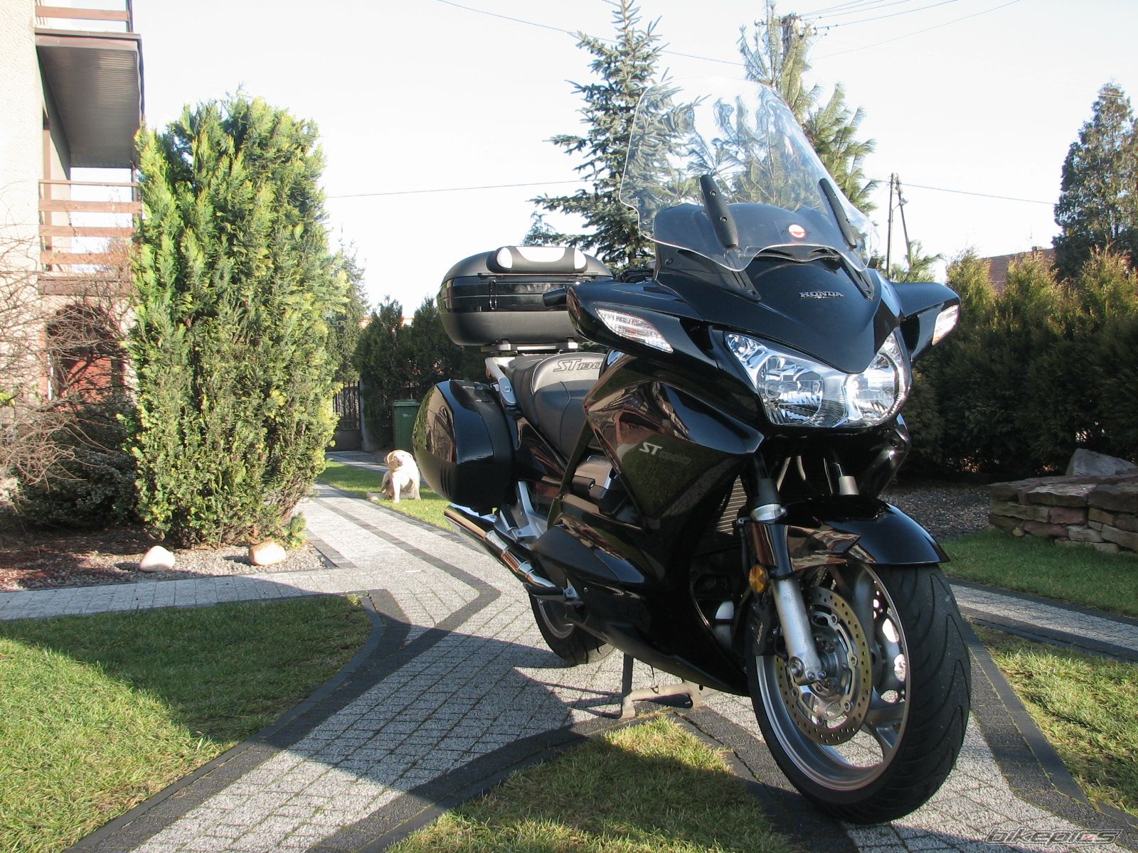 Bike Photo 2625272