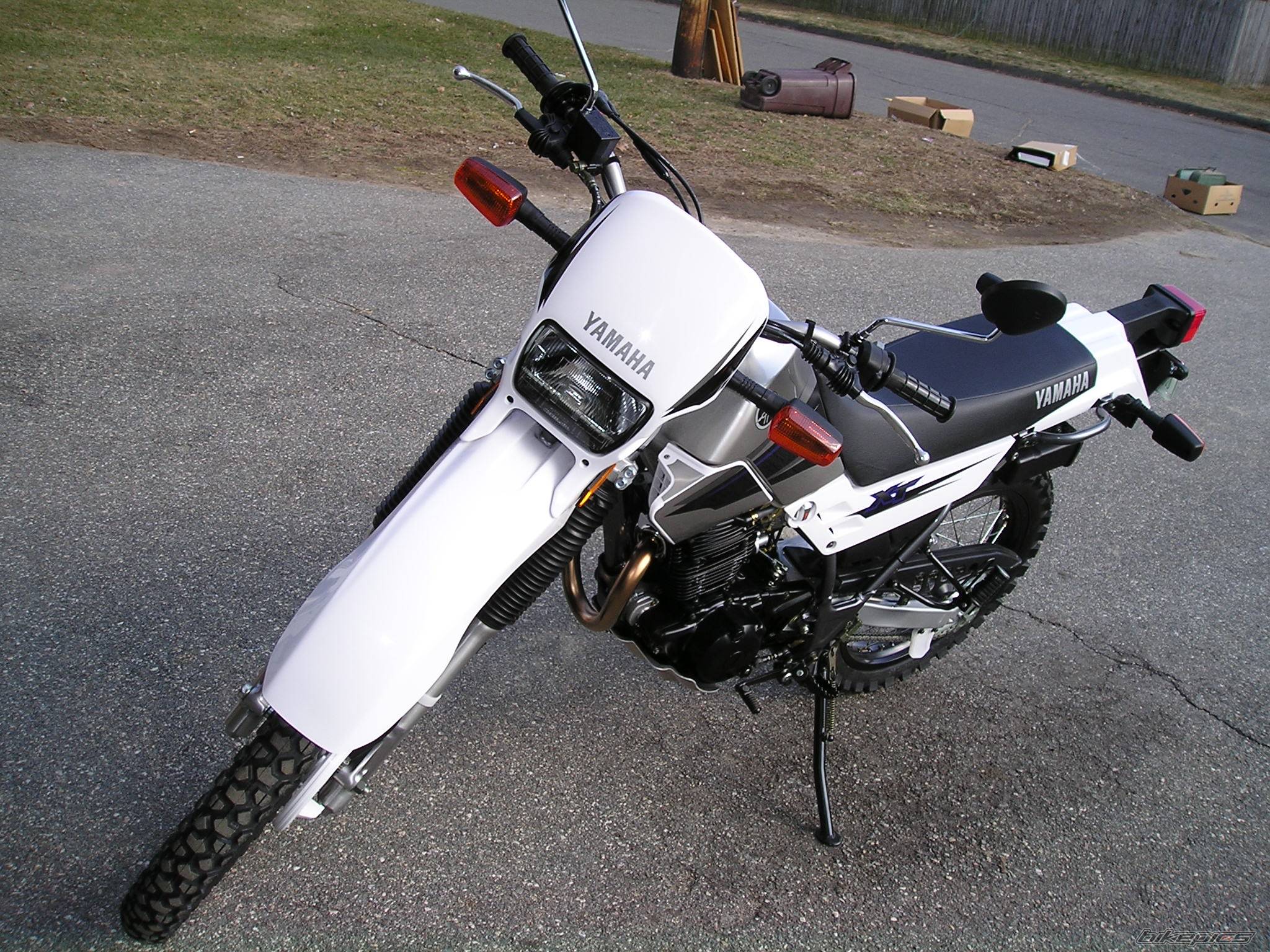 Photo 262528