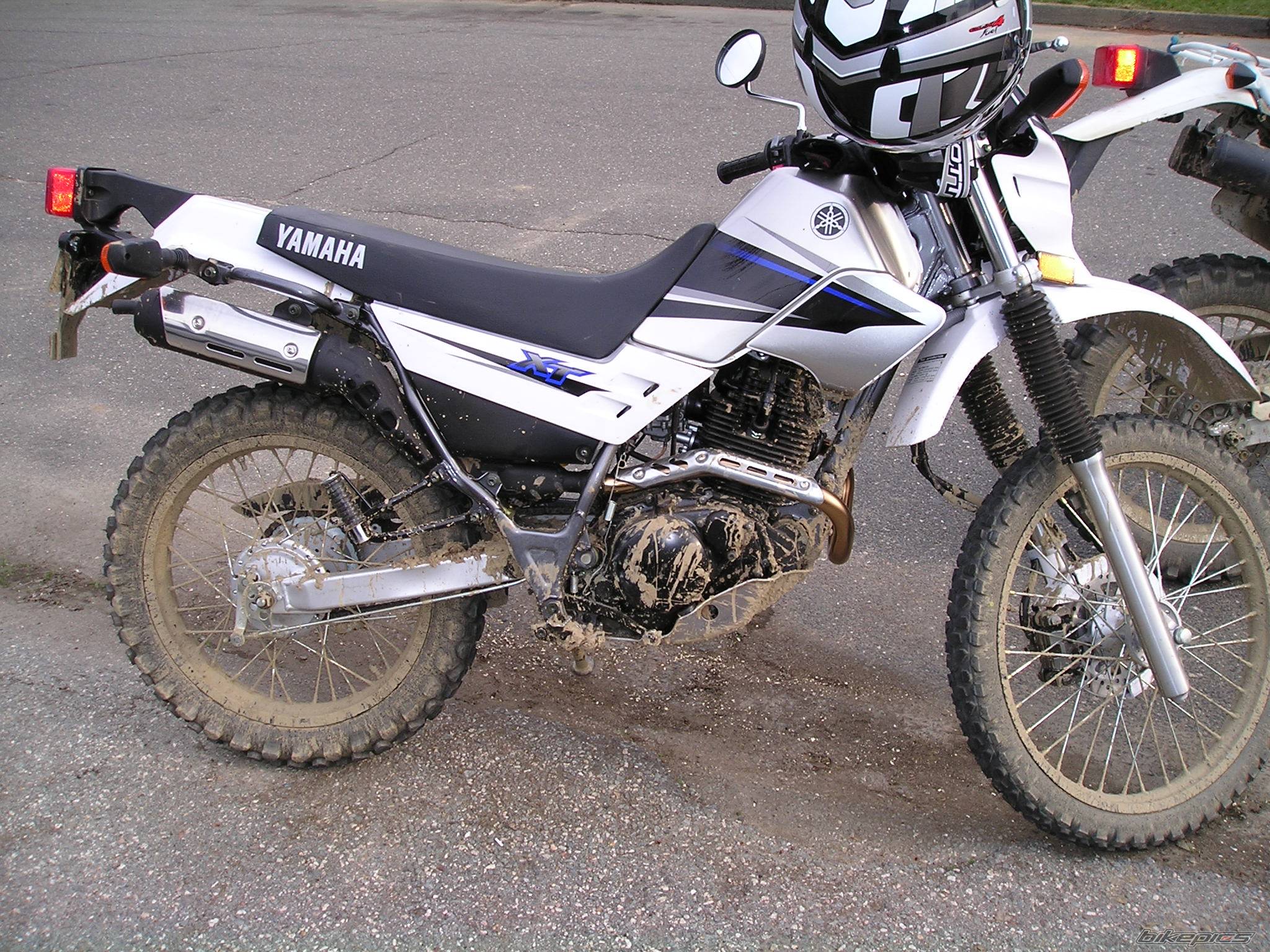 Photo 262534