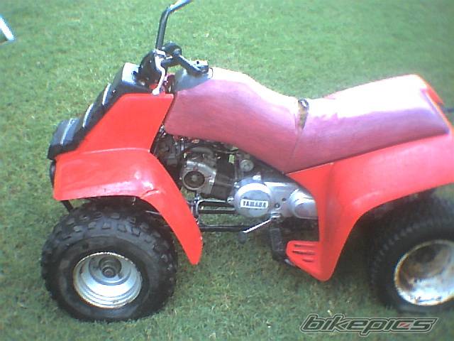 Photo 262545