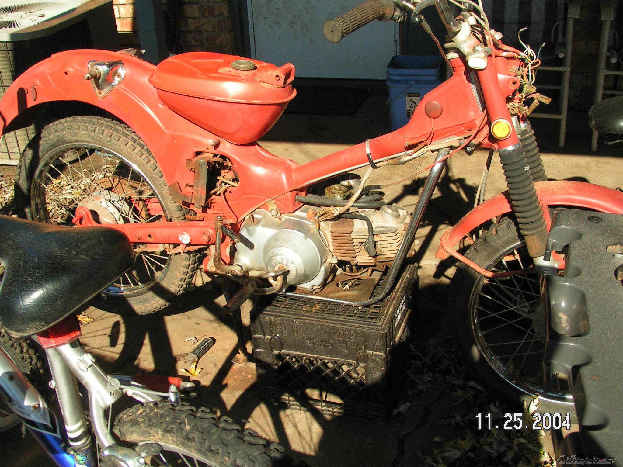 Photo 262546