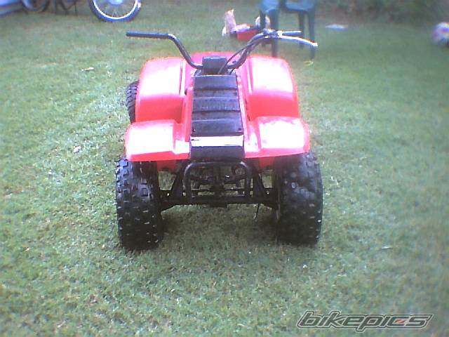 Photo 262548