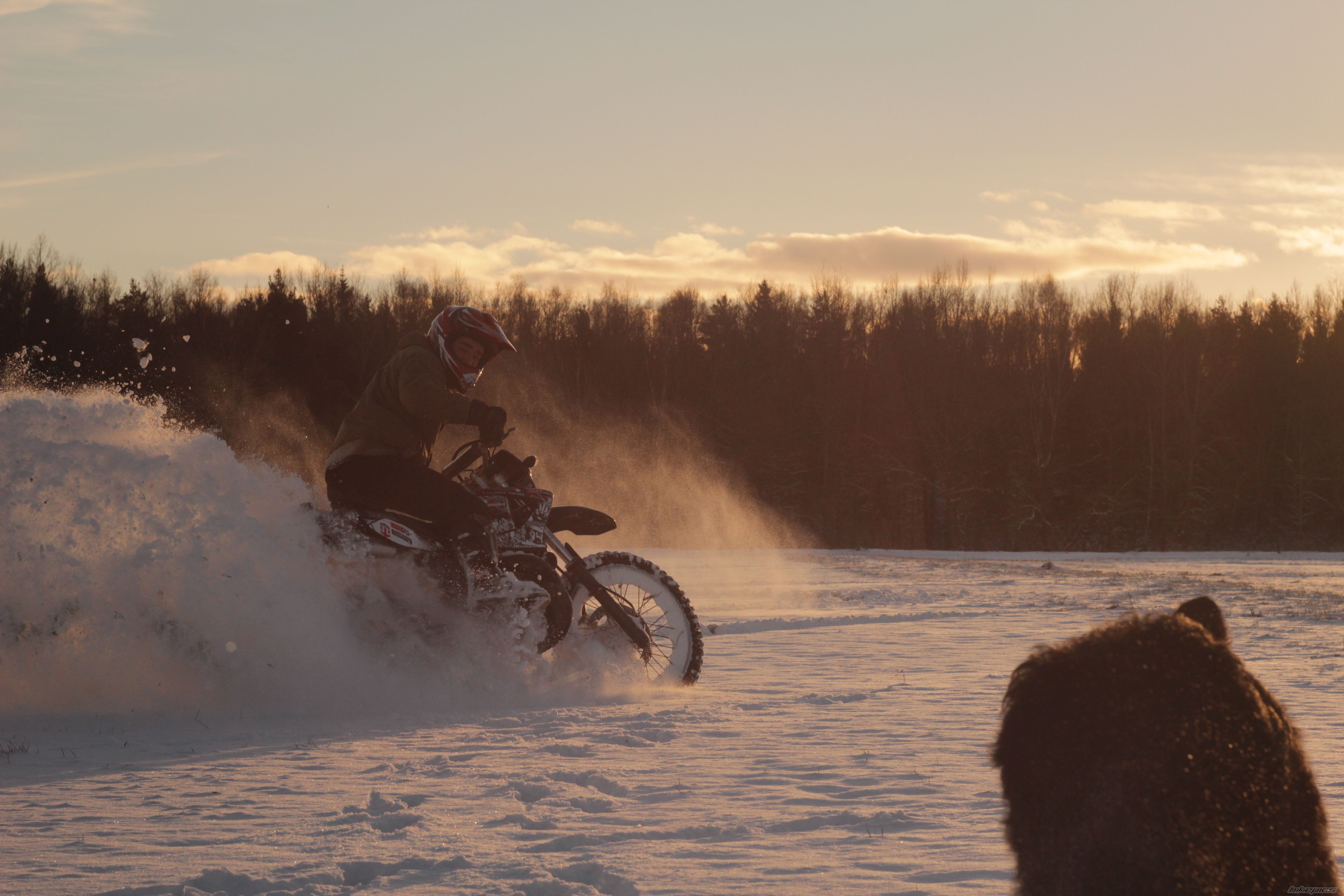 Photo 2625531