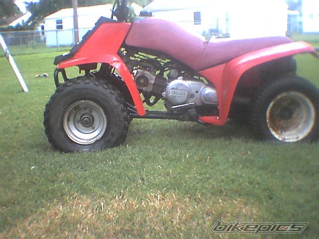 Photo 262554