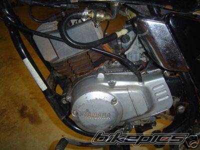 Bike Photo 262559