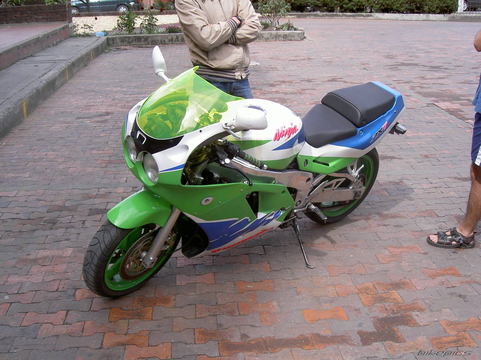 Photo 262572