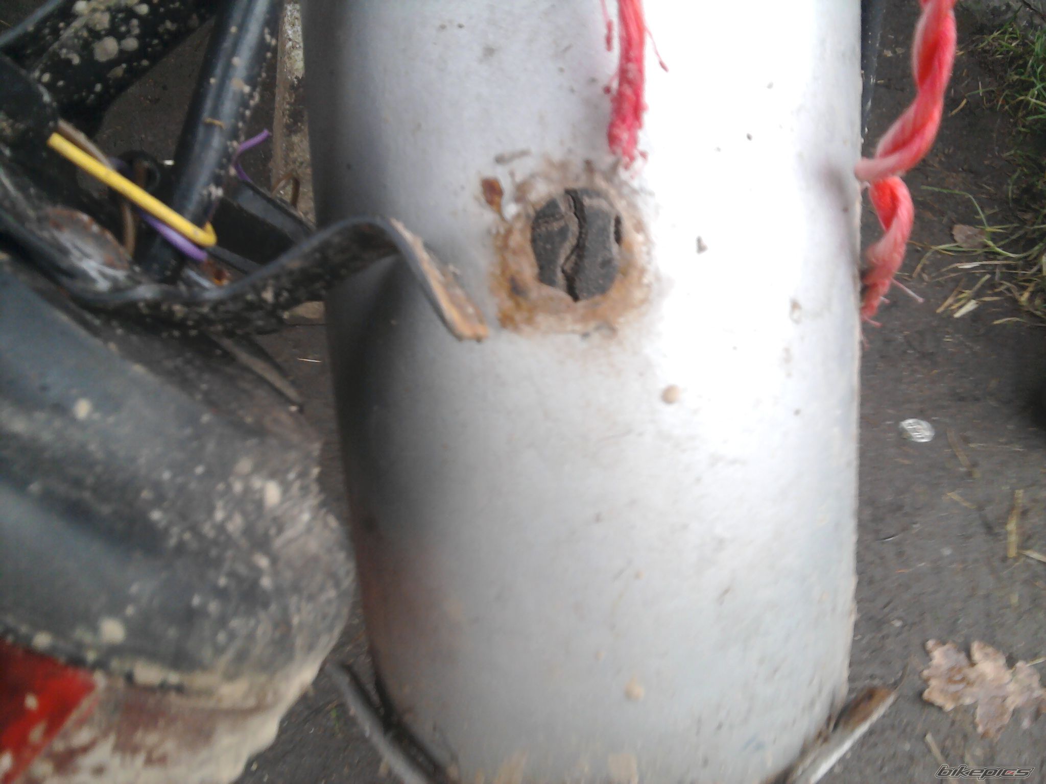 Photo 2625745