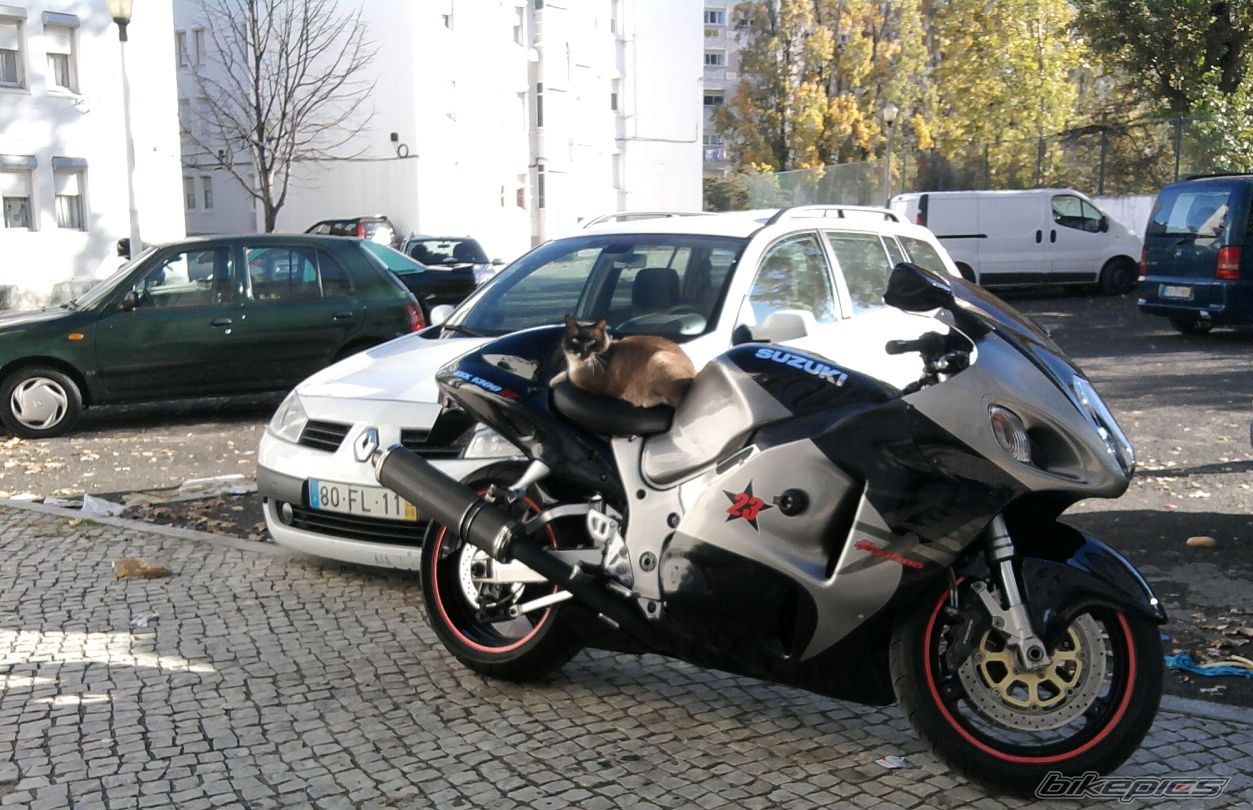 Photo 2625781