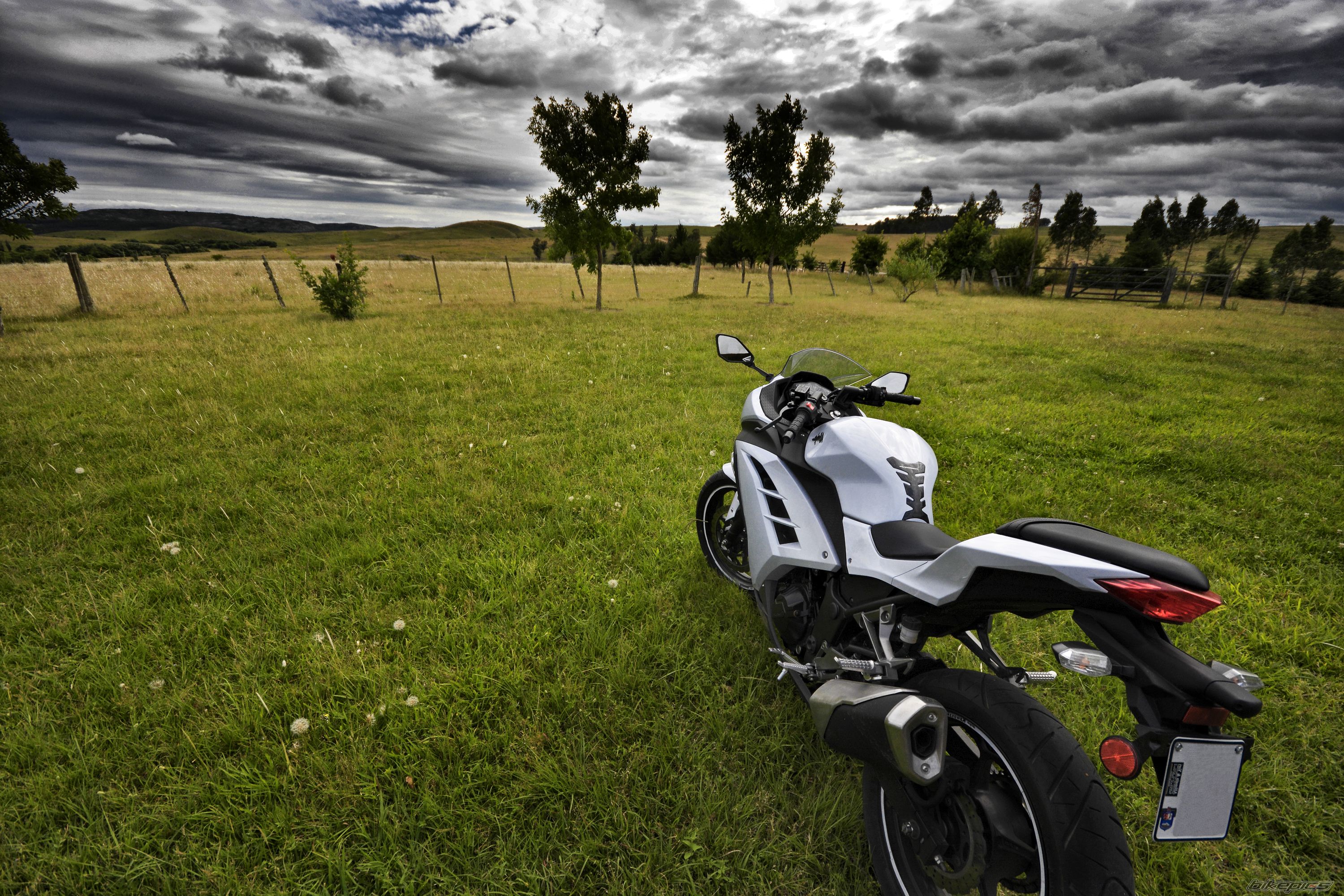 Photo 2625928