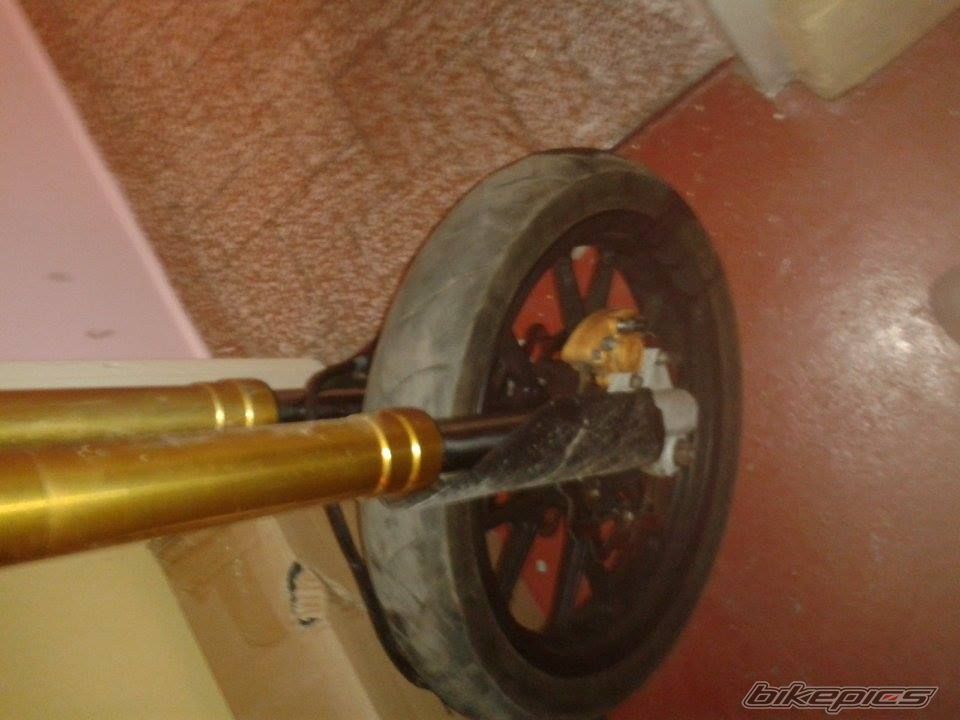 Photo 2626247