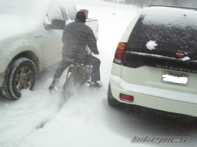 Photo 262635