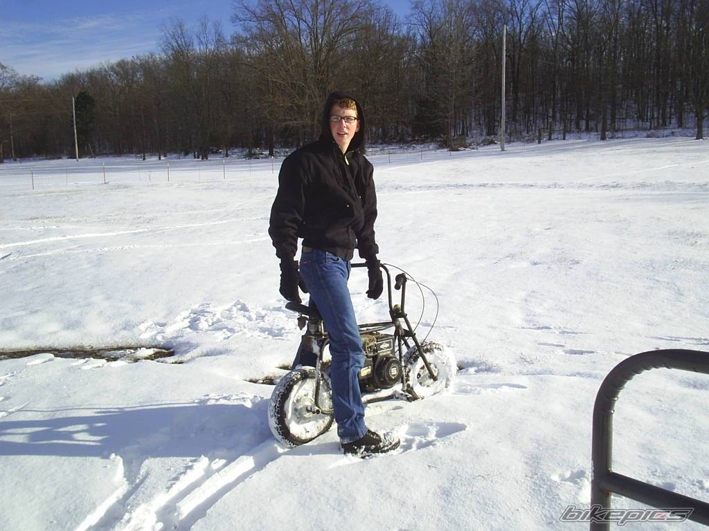 Photo 262636