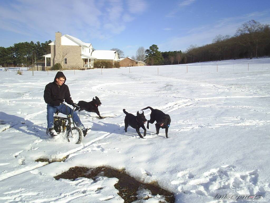 Photo 262640