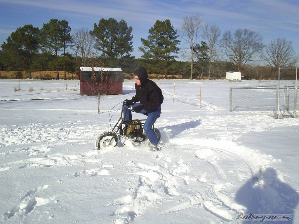 Photo 262641