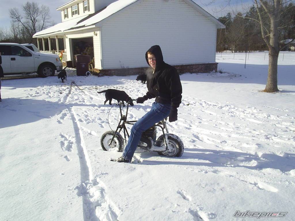 Photo 262642