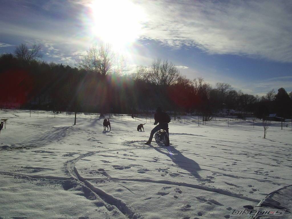 Photo 262643