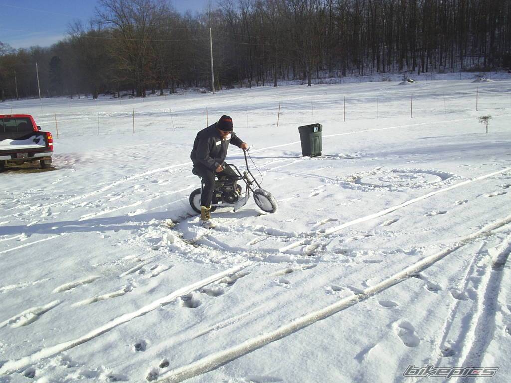 Photo 262645