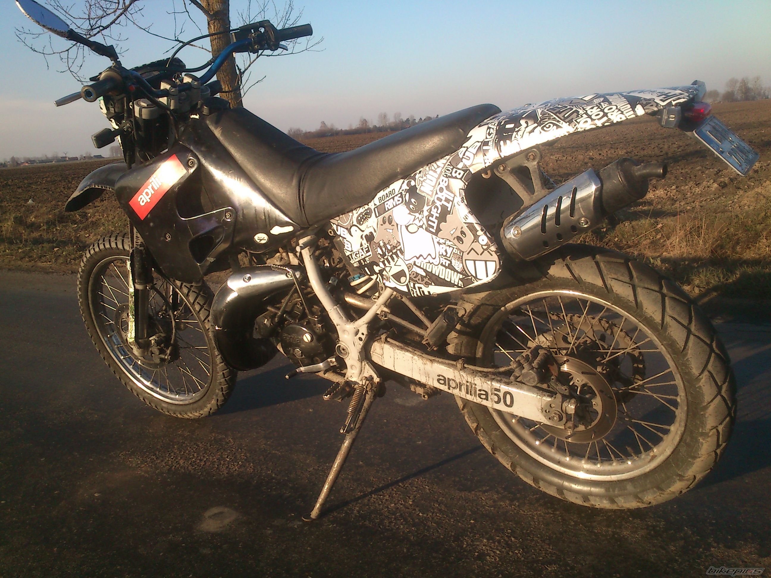 Photo 2626458