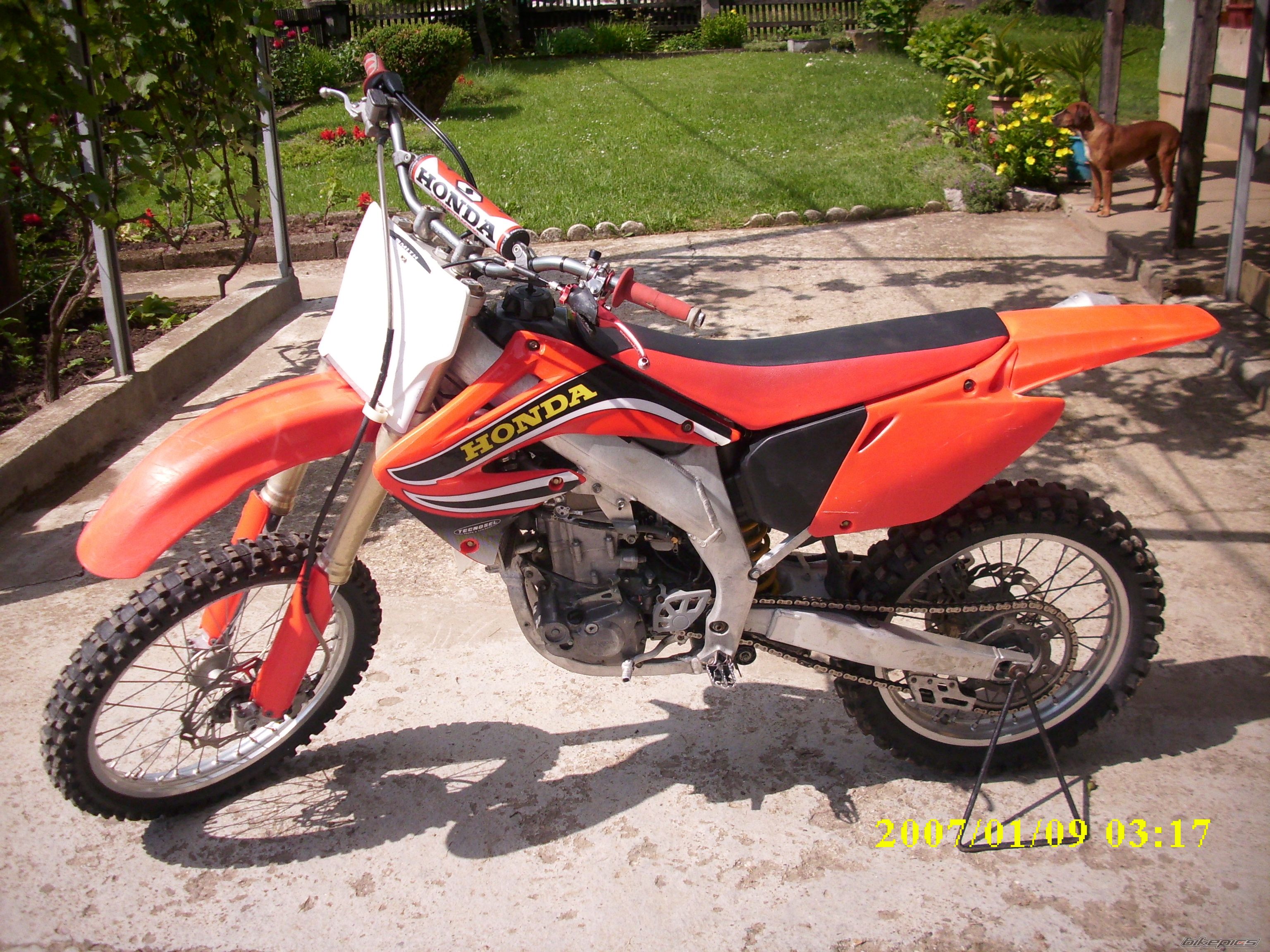 Photo 2626487