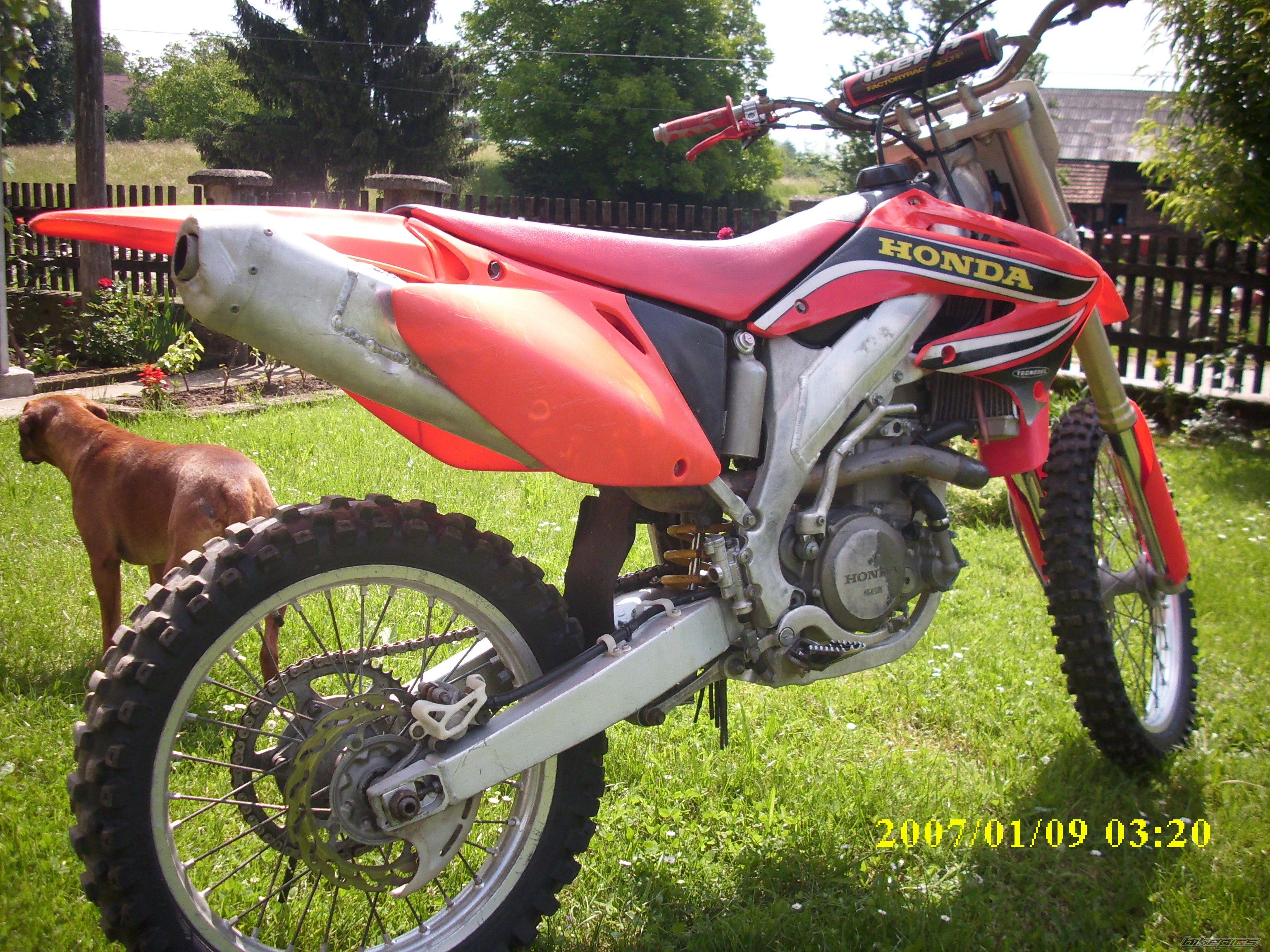 Photo 2626491