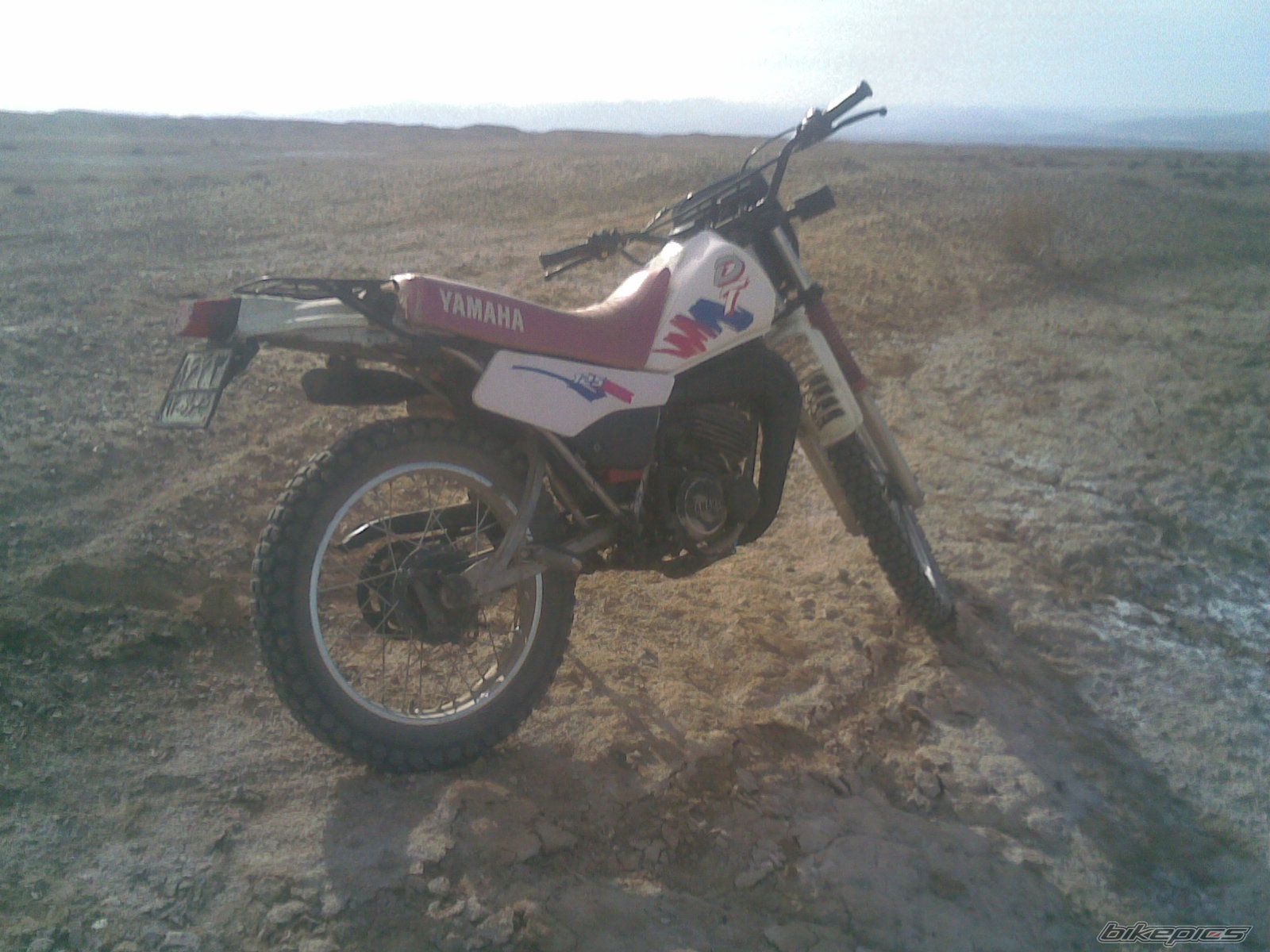 Photo 2626517