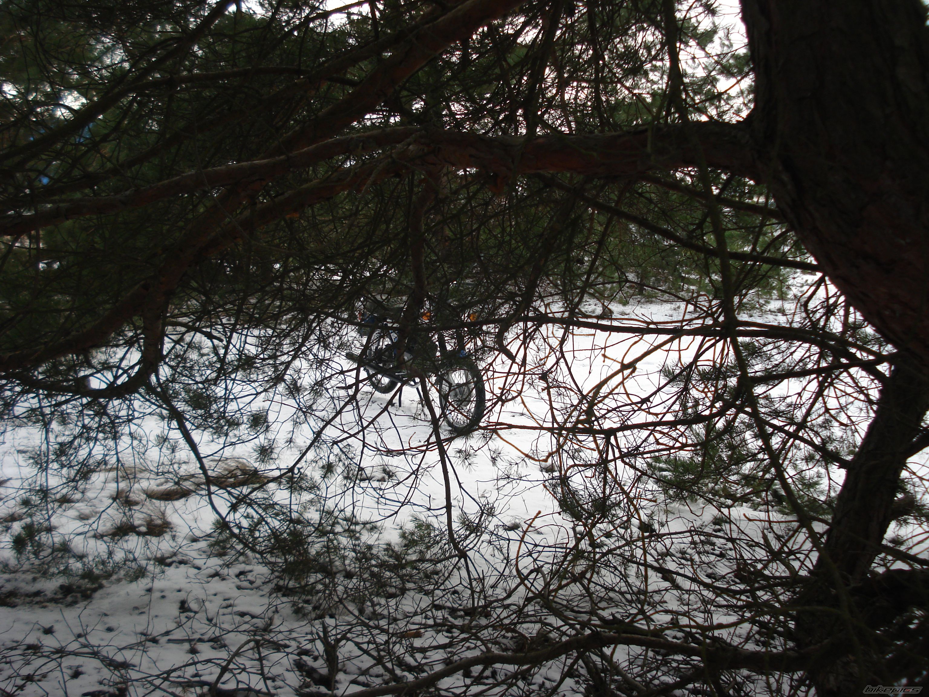 Photo 2626568