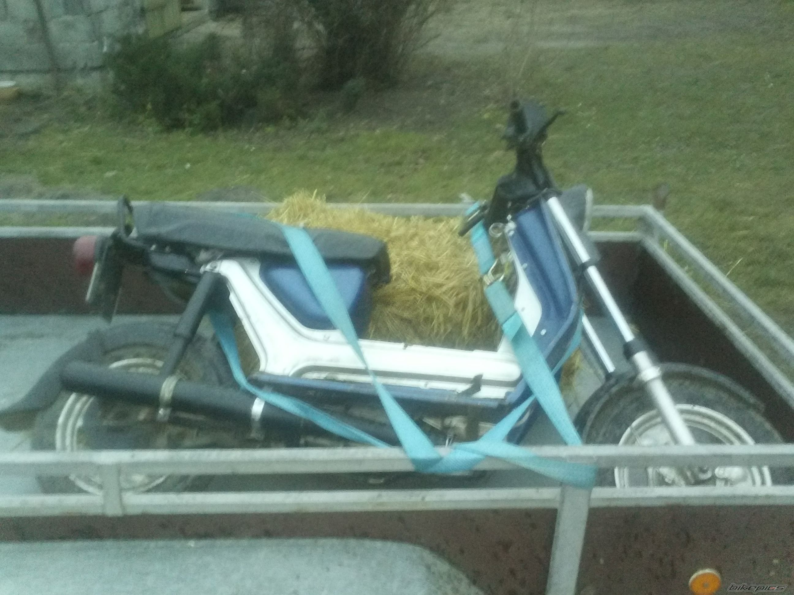 Photo 2626613