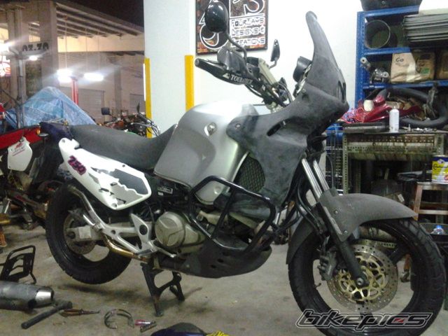 Photo 2627287