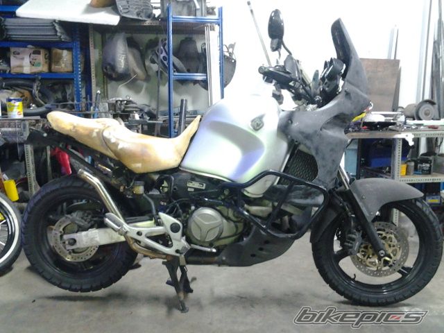Photo 2627292