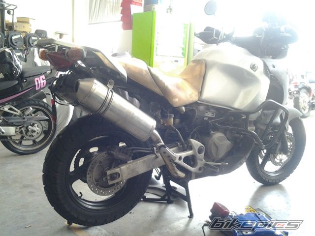 Photo 2627294