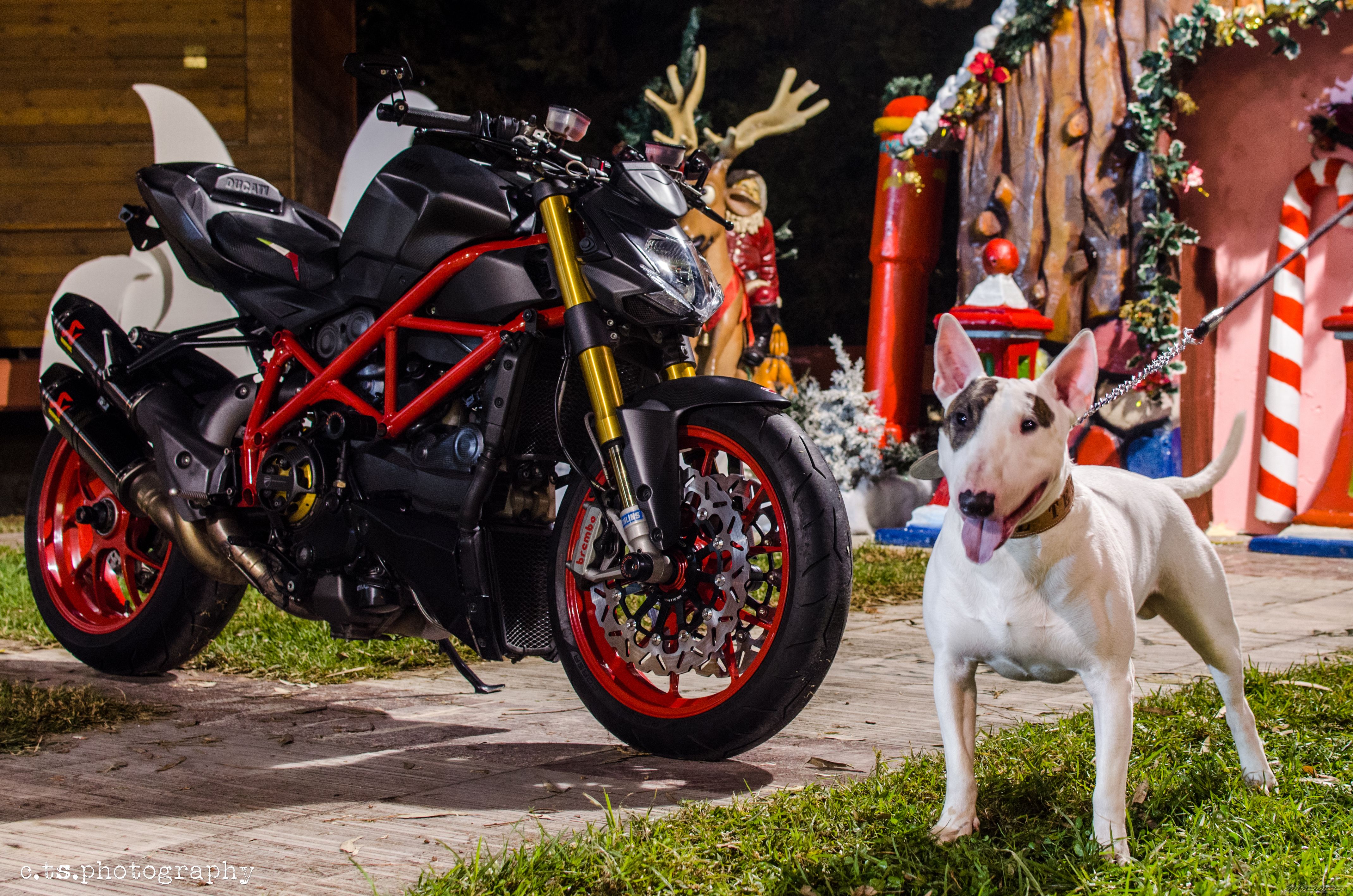 Bike Photo 2627300