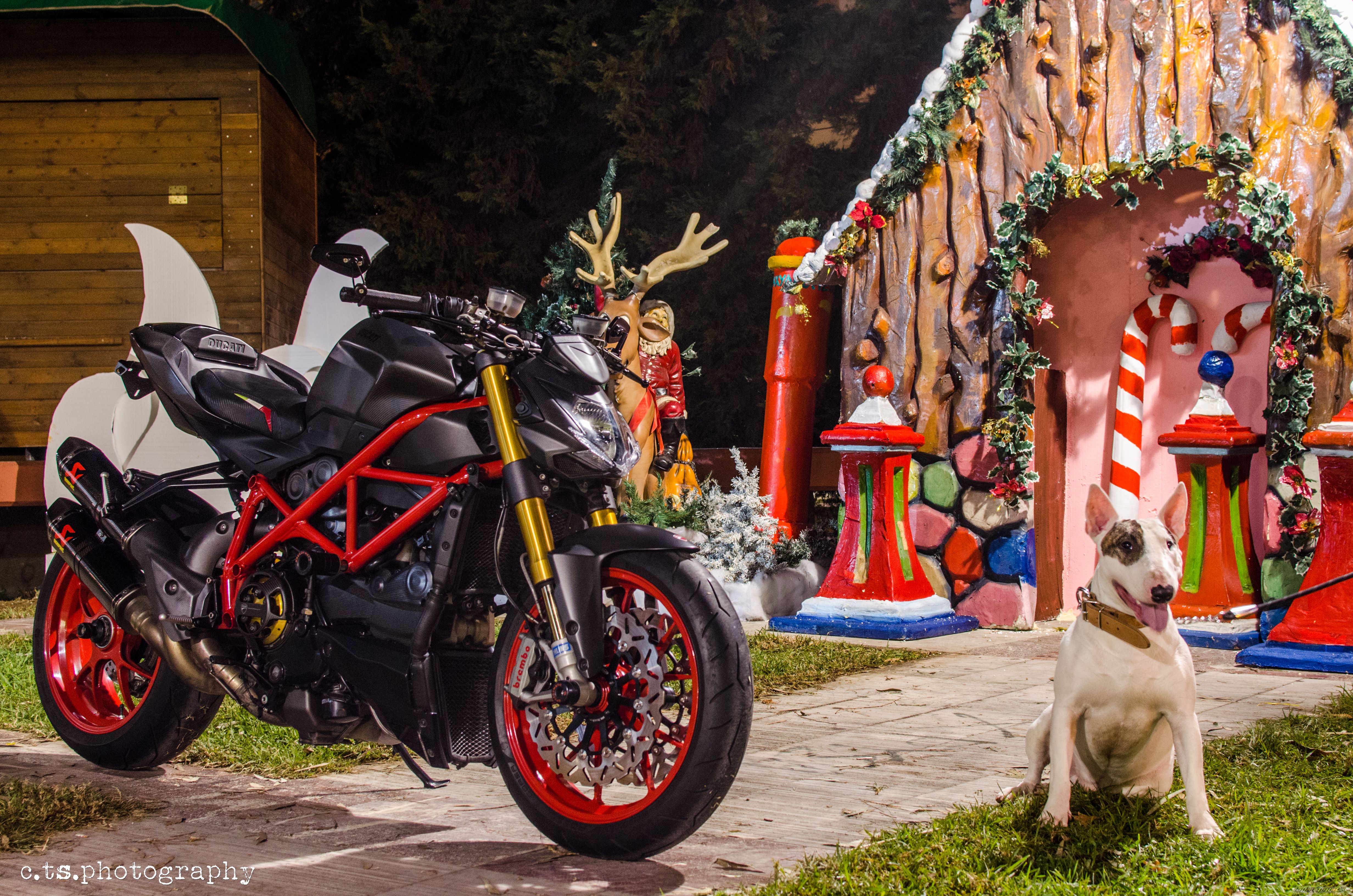 Bike Photo 2627314