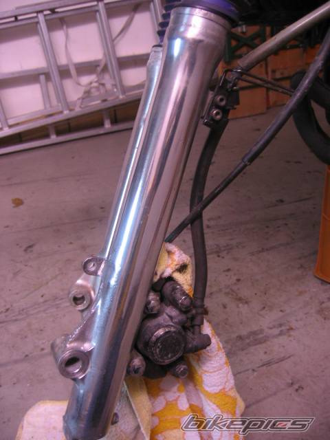Photo 262733