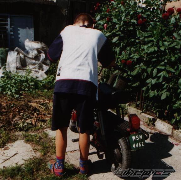 Photo 262734