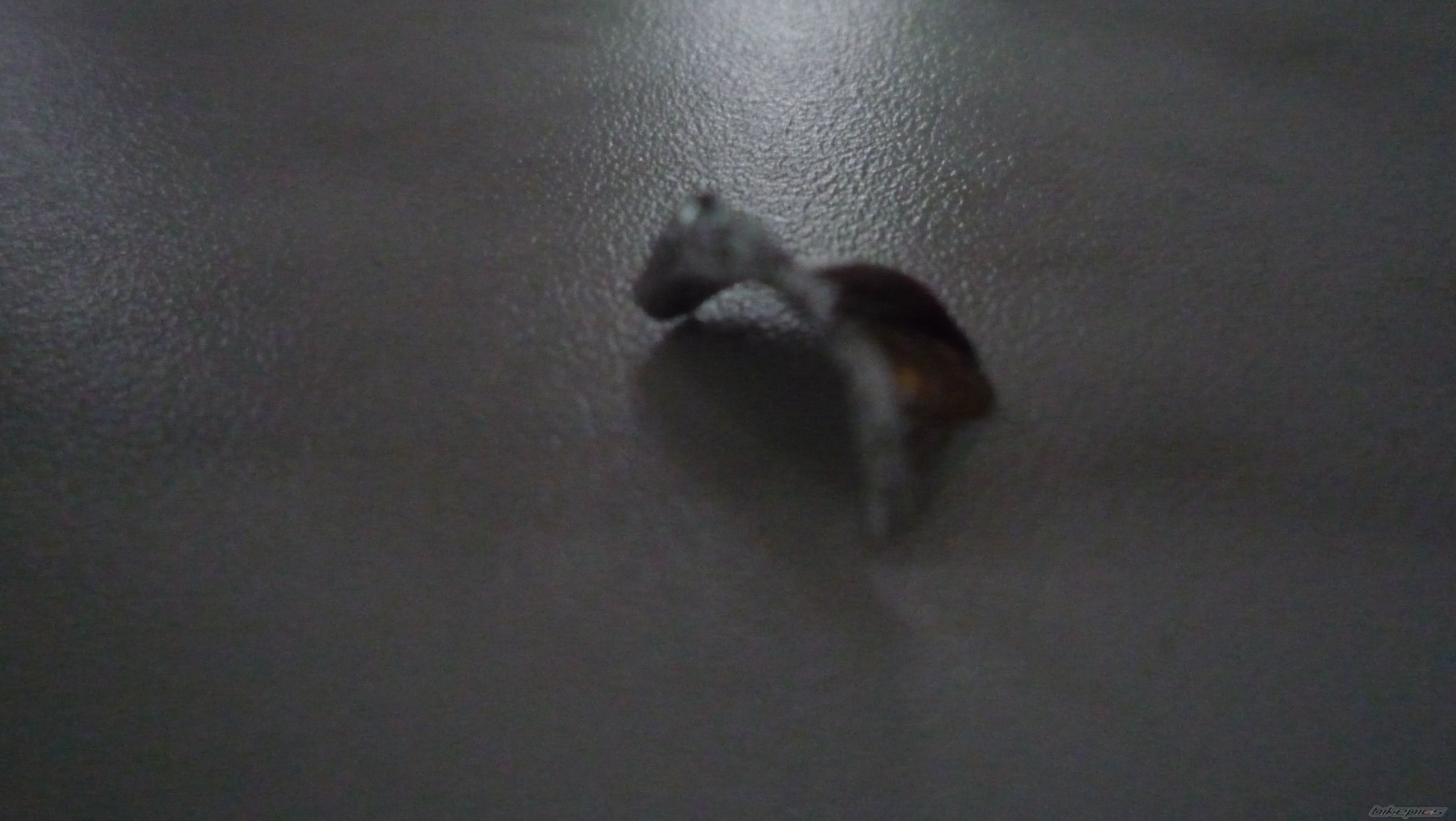 Photo 2627499