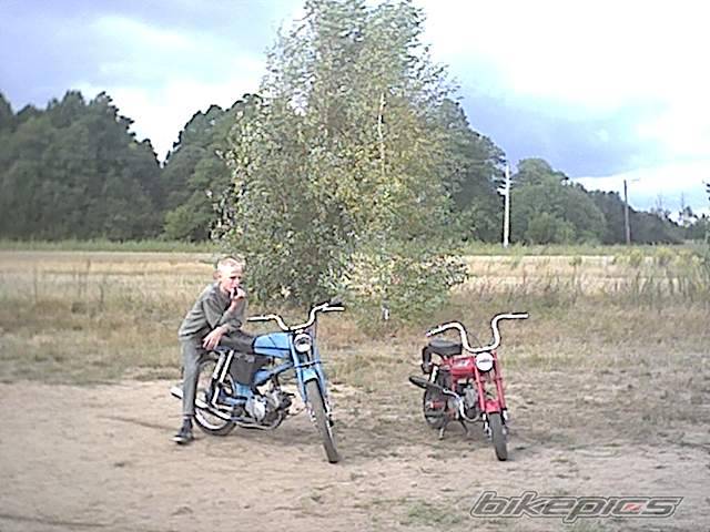 Photo 262765