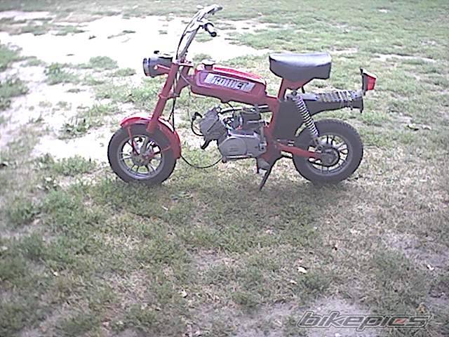 Photo 262767