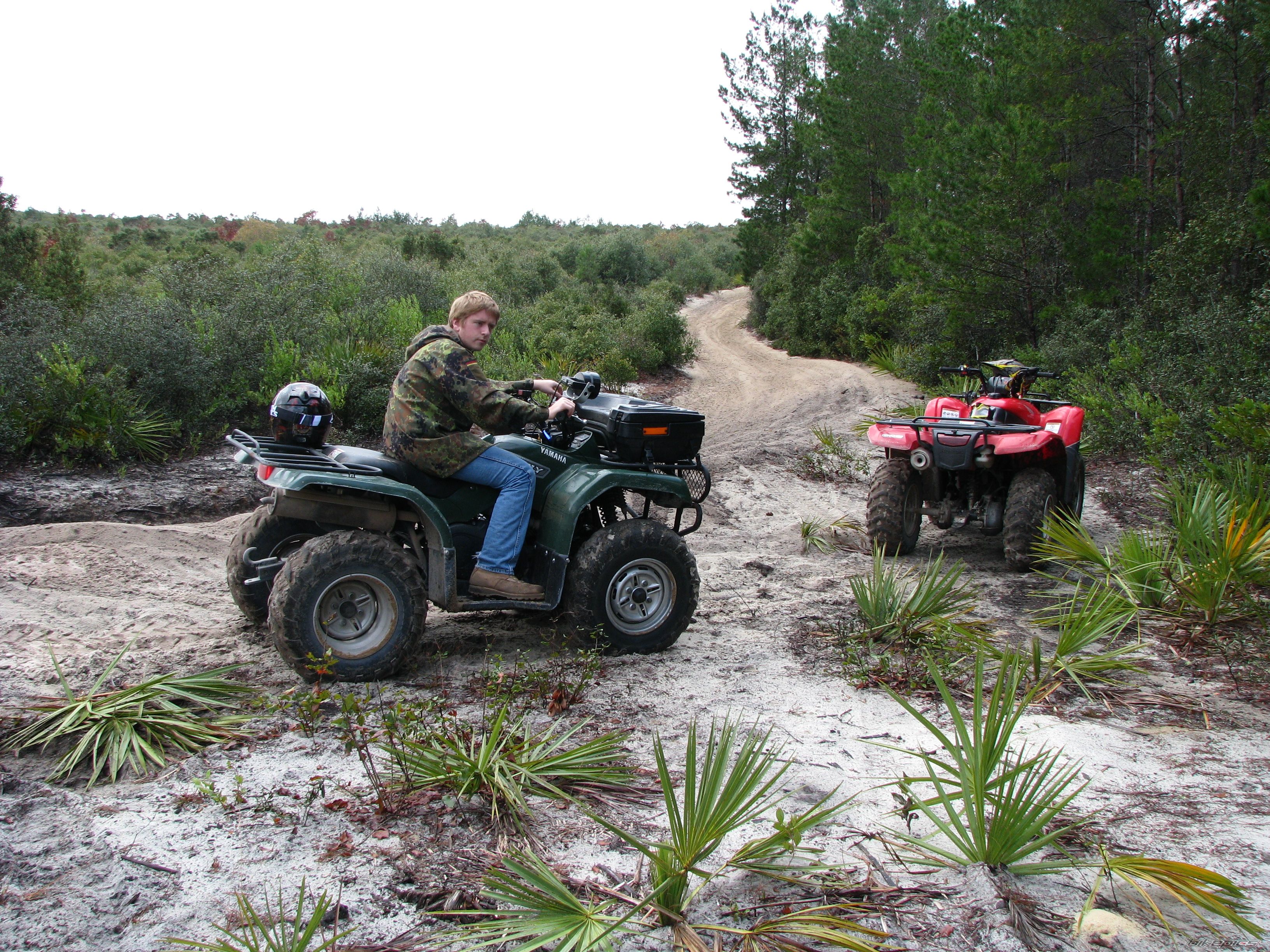 Photo 2627821