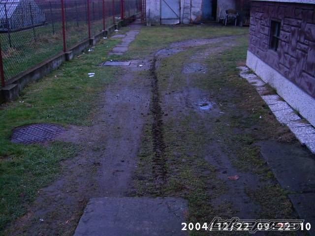 Photo 262789