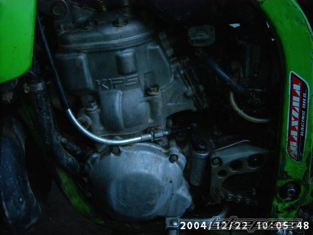Photo 262795