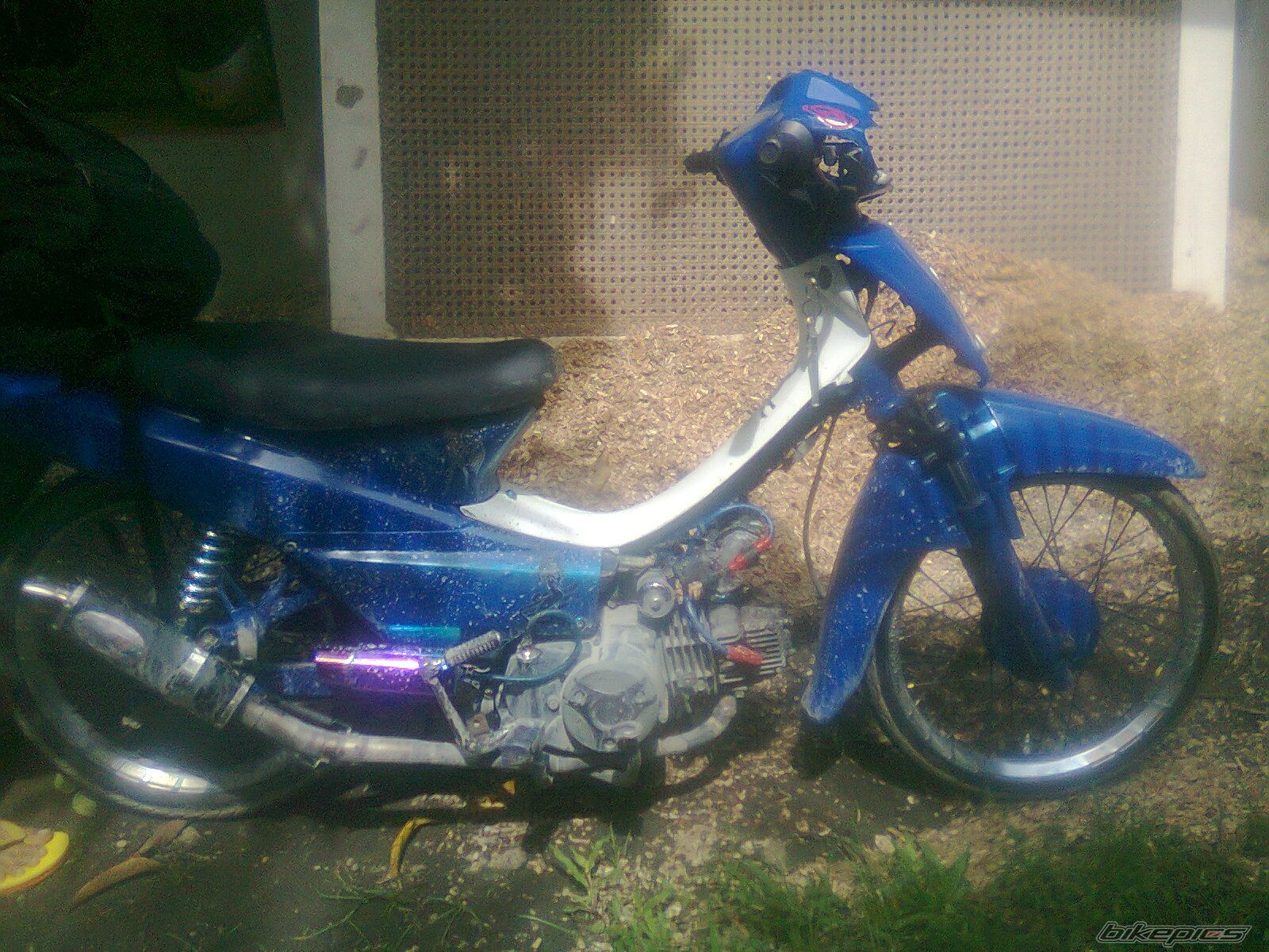 Photo 2627977