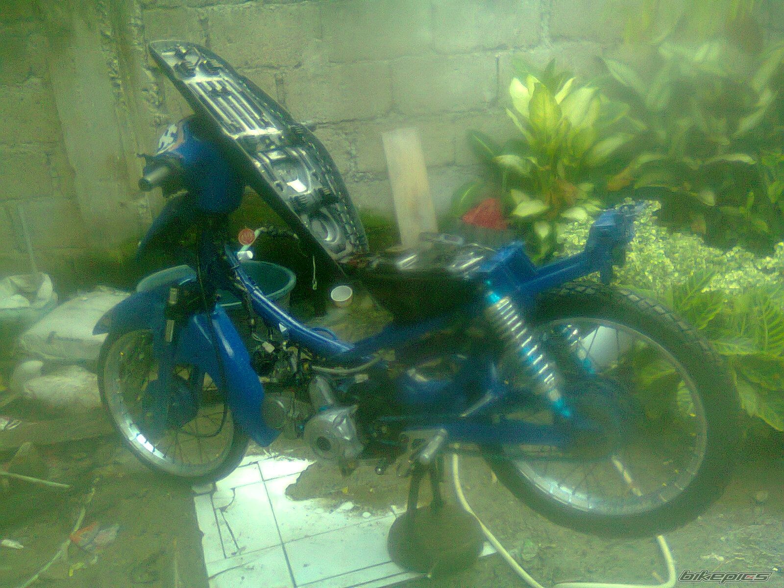 Photo 2627979