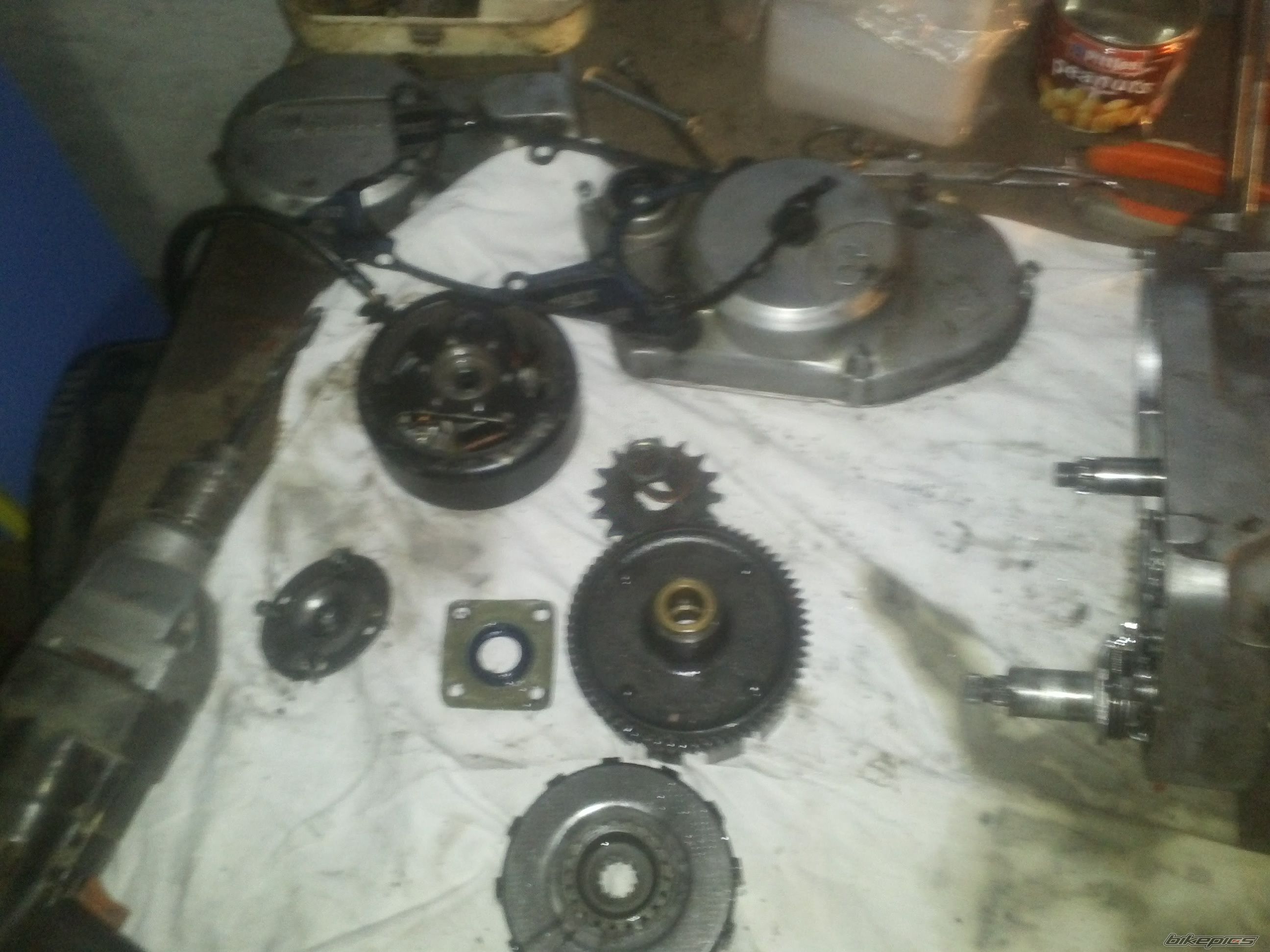 Photo 2628032