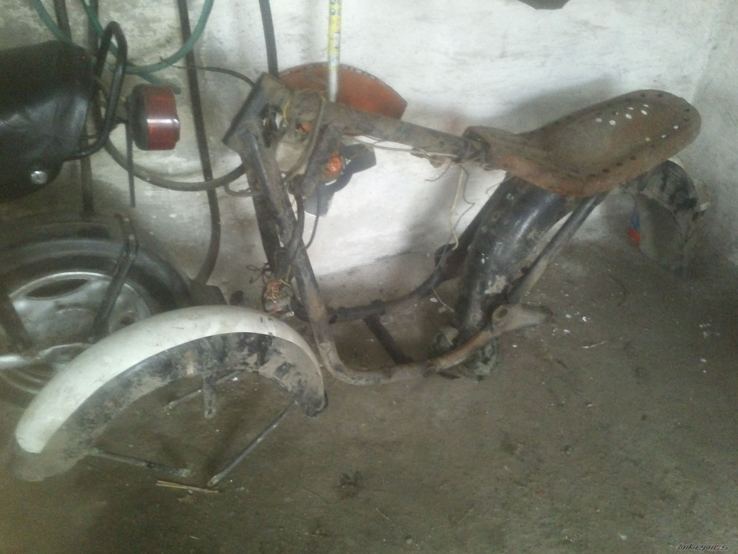 Photo 2628037