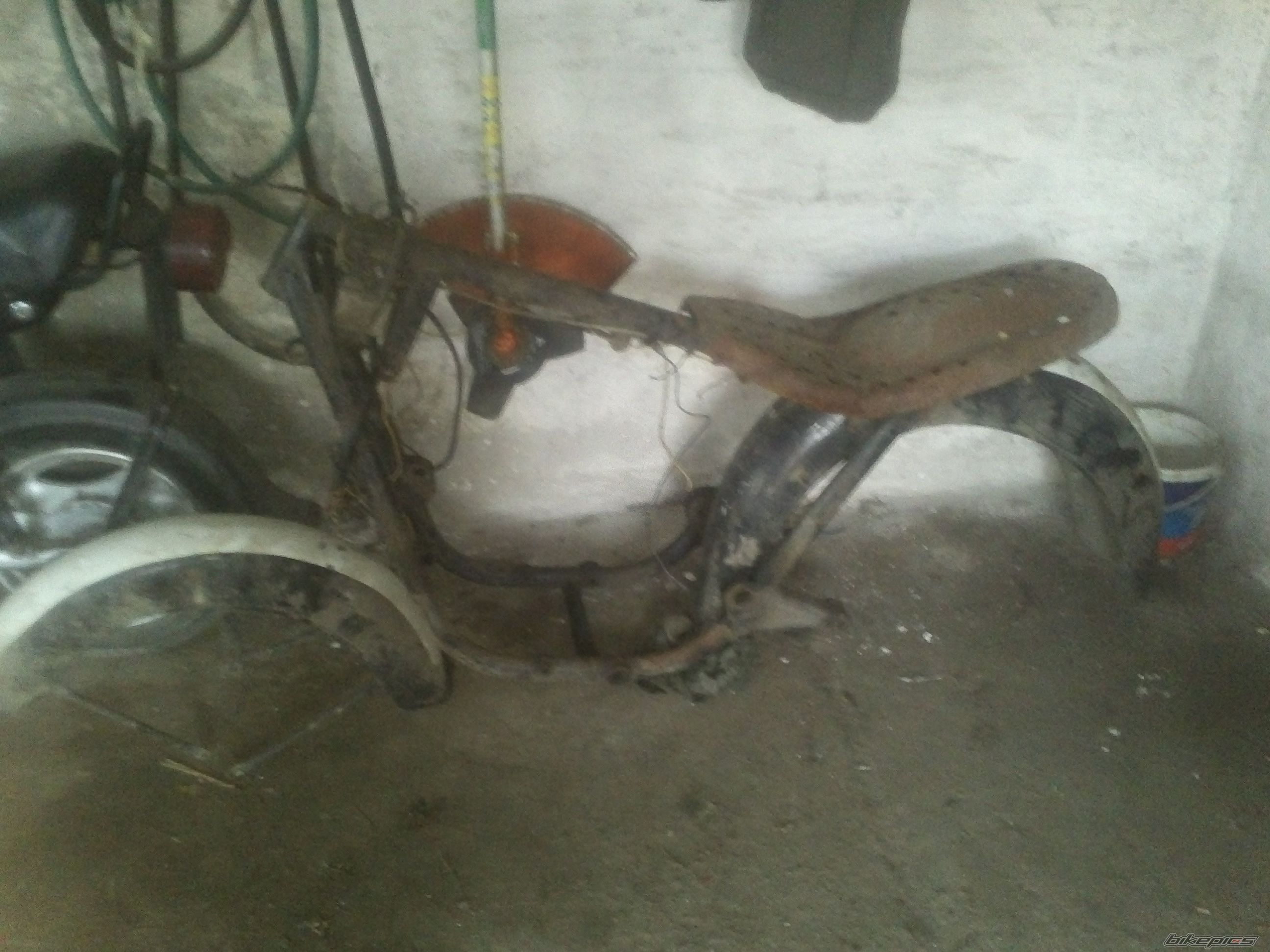 Photo 2628038