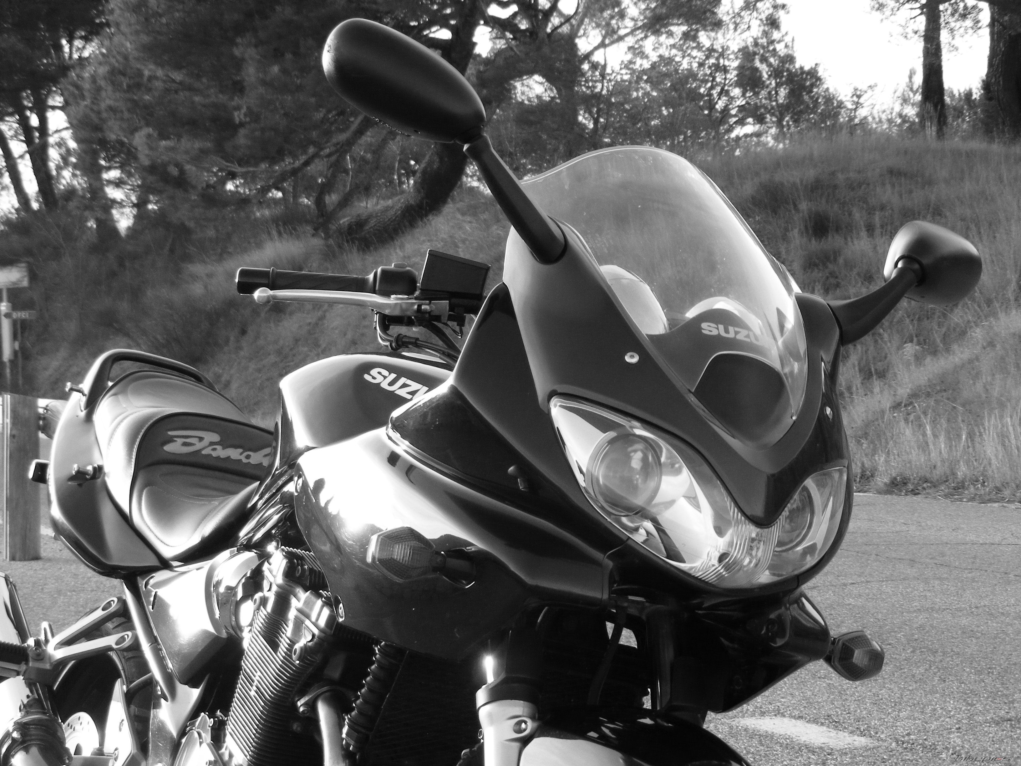 Photo 2628060